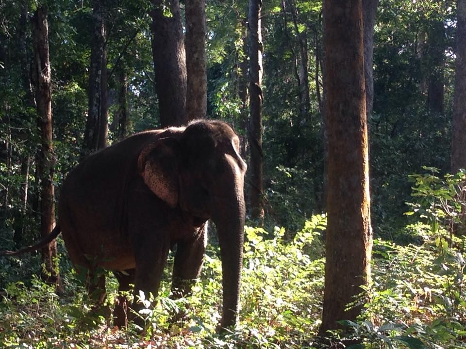 Mondulkiri Jungle Trekking Ethnic Villages Tour Takemetour
